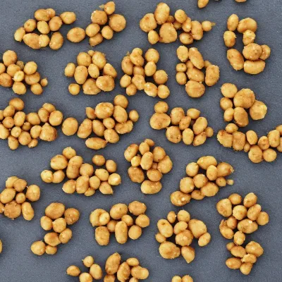 Soyabønnesnack